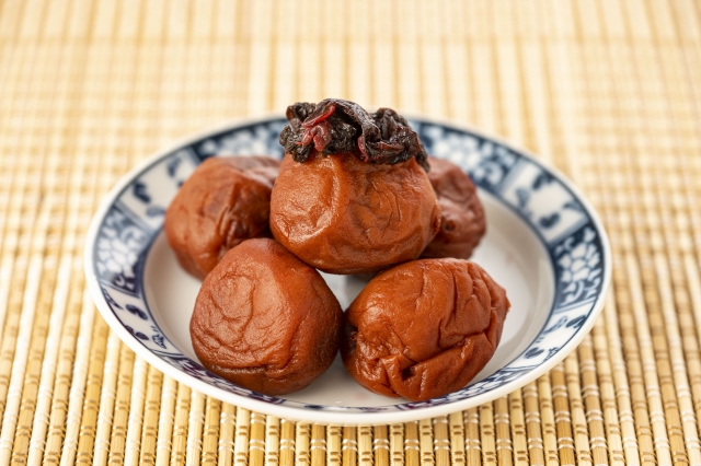 信玄 梅 どこで 売っ てる